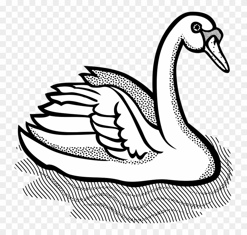 Animal Free Vector Graphic On Pixabay Vogel - Swan Clipart Black And White #1636734