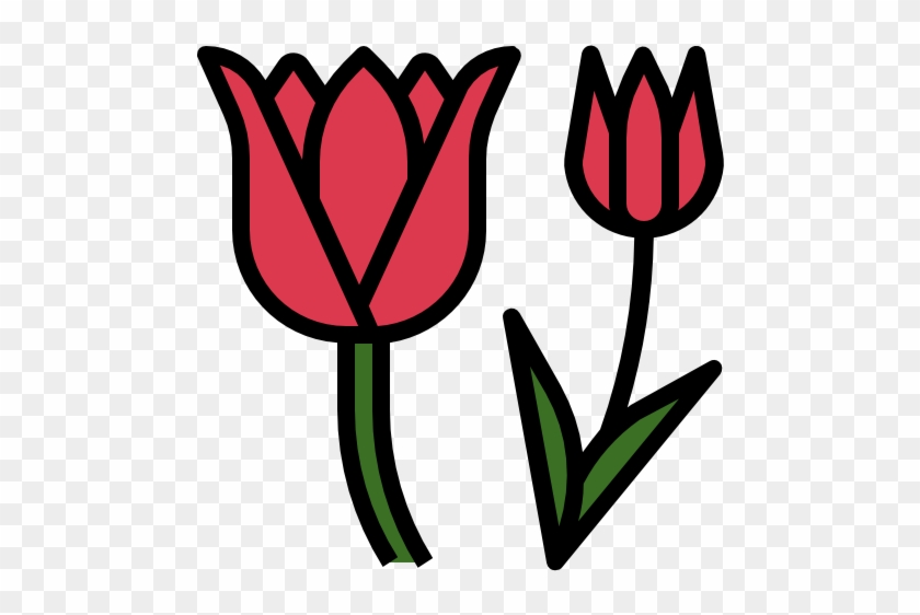 Tulip Free Icon - Tulip Free Icon #1636810
