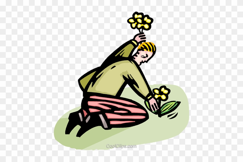 Man Planting Flowers Royalty Free Vector Clip Art Illustration - Man Planting Flowers Royalty Free Vector Clip Art Illustration #1636841