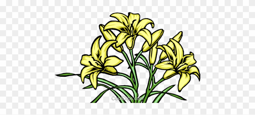 Lilies Royalty Free Vector Clip Art Illustration - Lilies Royalty Free Vector Clip Art Illustration #1637279