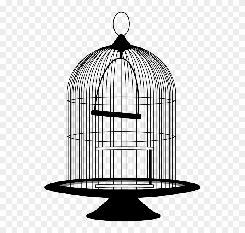 536 X 720 2 - Bird In Cage Png #1637286