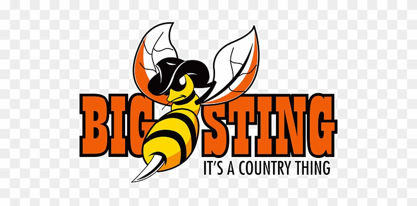 The Big Sting - Hornet #1637679