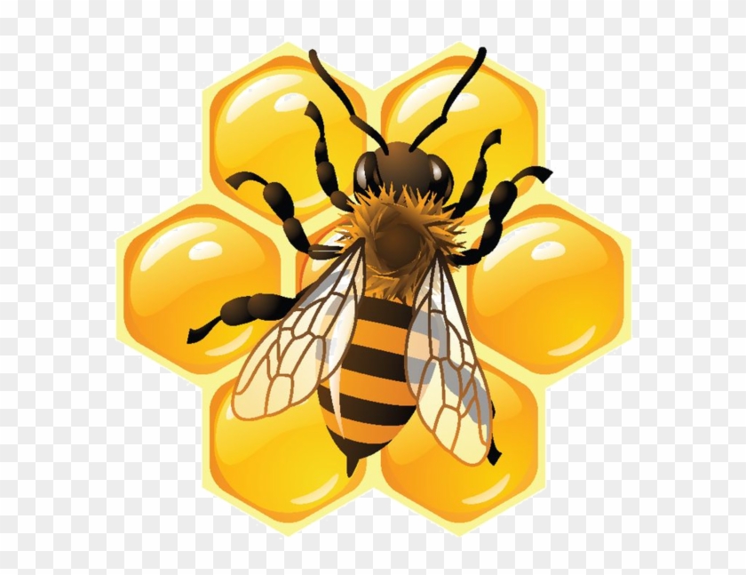 Bee Clipart, Clips, Bee Keeping, Images Of Bees, Honey - Bee And Honeycomb Animation #1637684