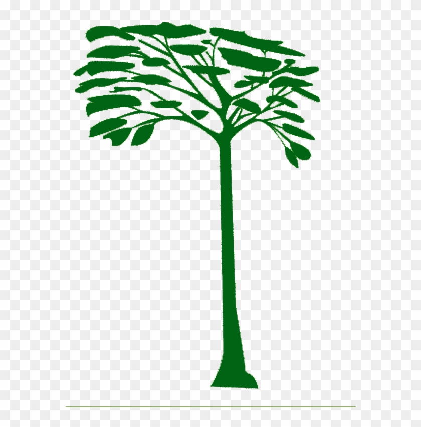 Un Poco Del Chocó - Silhouette #1637703