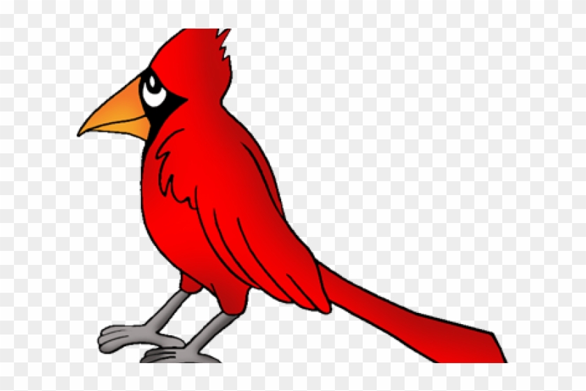 Songbird Clipart North Carolina - West Virginia State Bird Cartoon #1637804