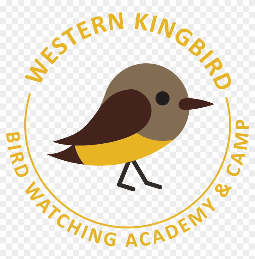 The Western Kingbird - Old World Flycatcher #1637805