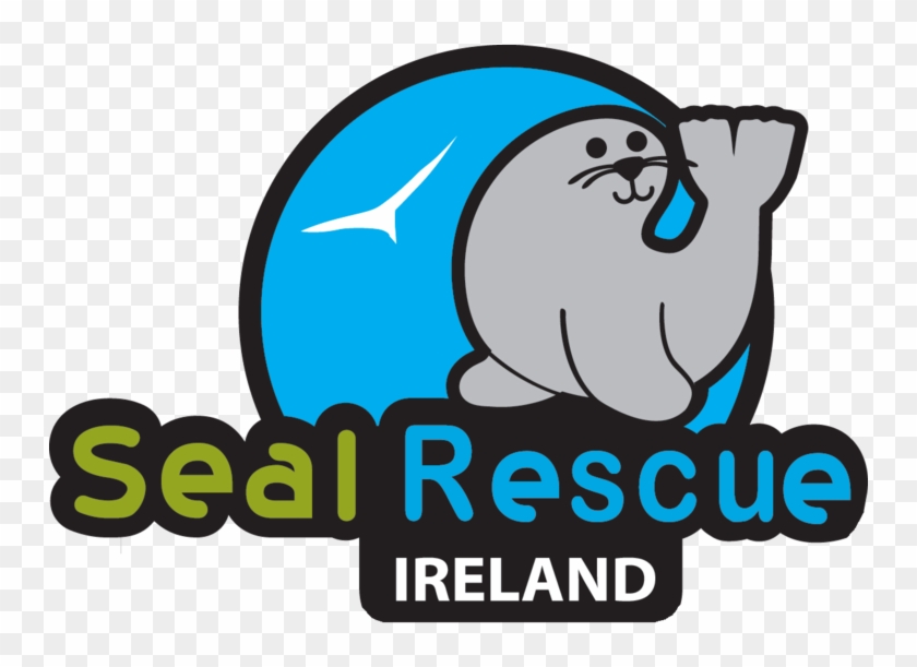Category - Seal Rescue Centre Courtown #1638199