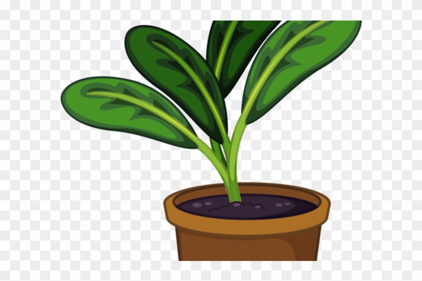 Pot Plant Clipart Stem Plant - Potted Plant Clipart Transparent Background #1638440