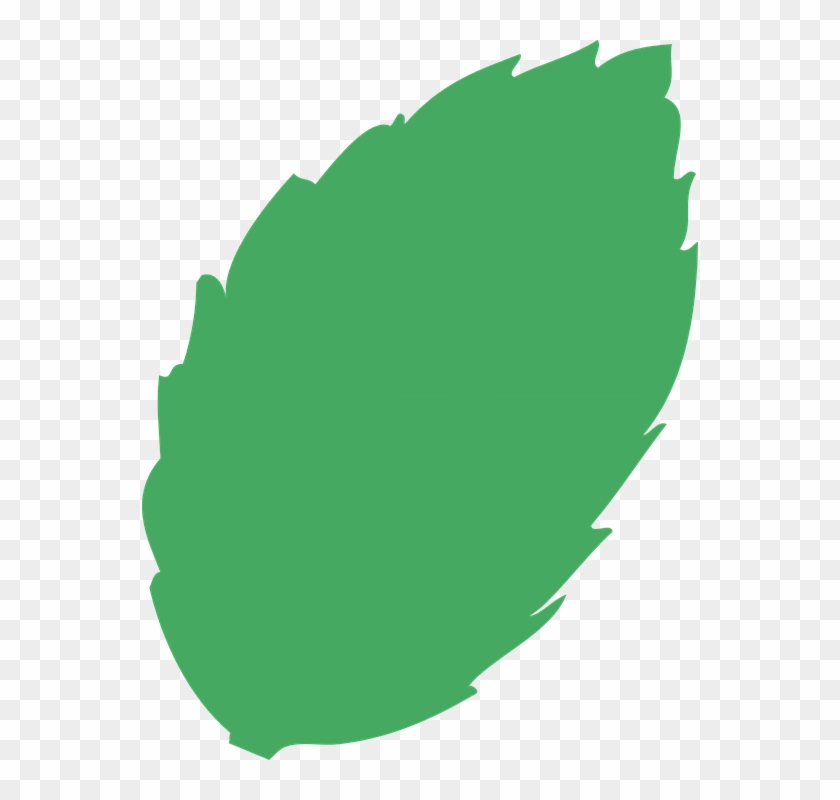 Leaf, Tree, Green Waste - Hoja De Arbol Png #1638638