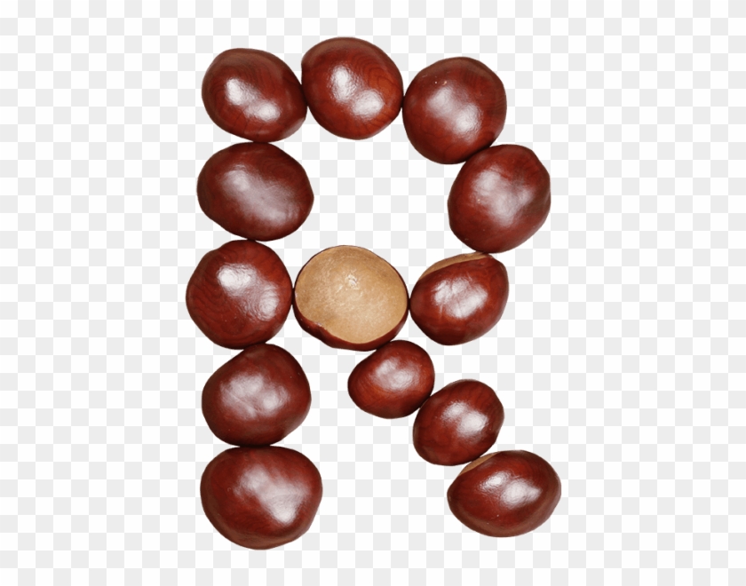 Chestnut Font - Buckeye #1638649