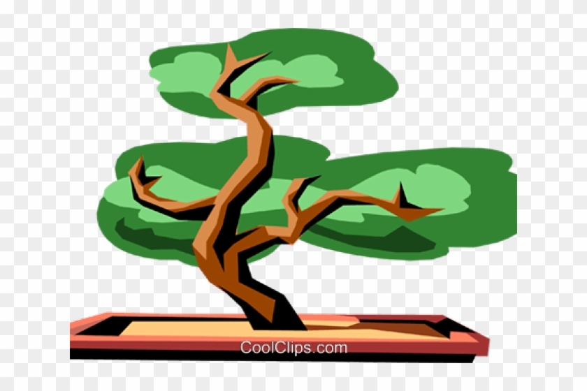 Bonsai Clipart Old Tree - Cartoon Bonsai Tree Png #1638677