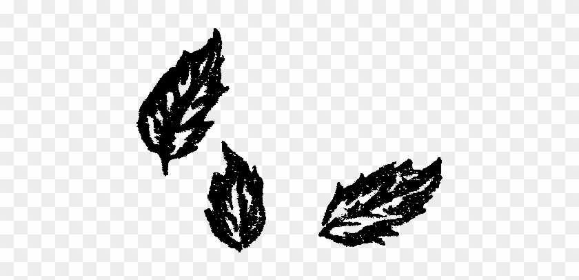 Leaf Illustration Images Botanical Art - Illustration #1638705