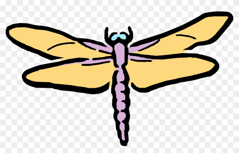 Cartoon Image Illustration Of Insect - Dragonfly Clipart #1638795