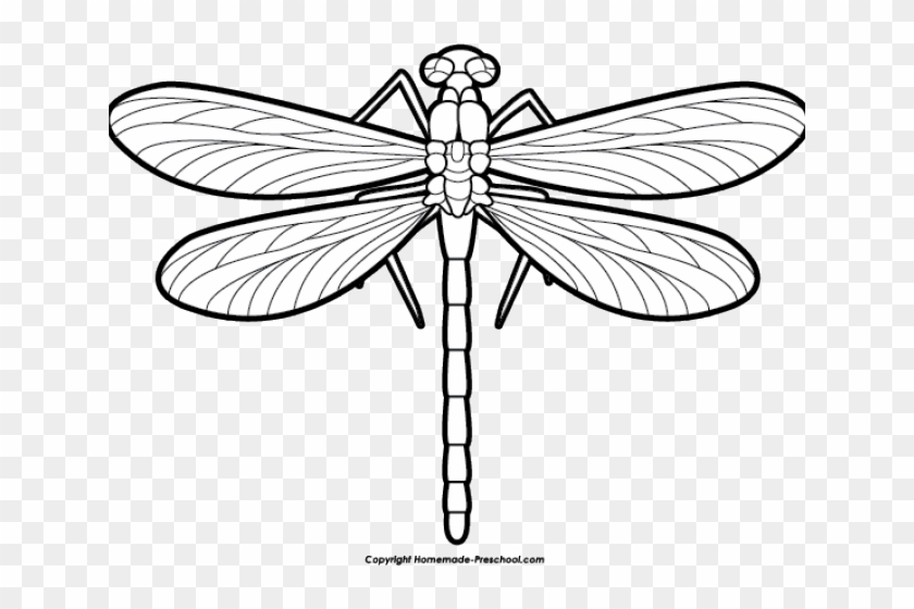 Dragonfly Clipart Hope - Clipart Of A Dragonfly #1638796