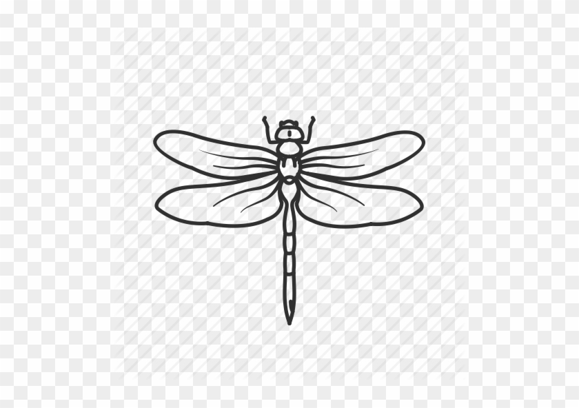 Clip Art Royalty Free Download Insects Essentials By - Transparent Dragonfly Drawing #1638799