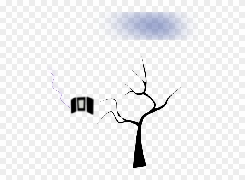 Tree #1638986