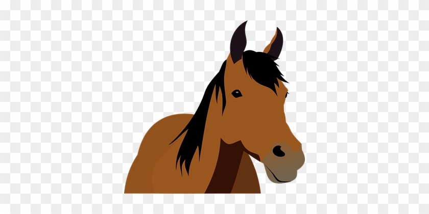 Animal, Cattle, Horse, Stallion, Horse - Horse Front View Clipart #1639107