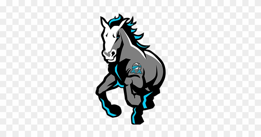 Syracuse Stampede Logo By Big Drew Graf - Syracuse Stallions #1639114