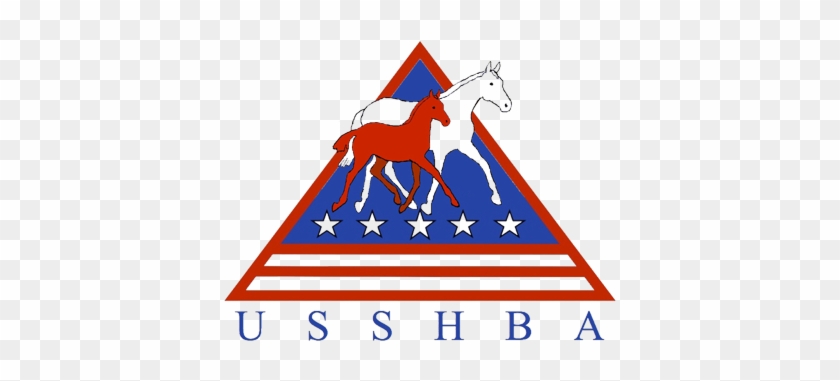 Usshba - Stallion #1639137