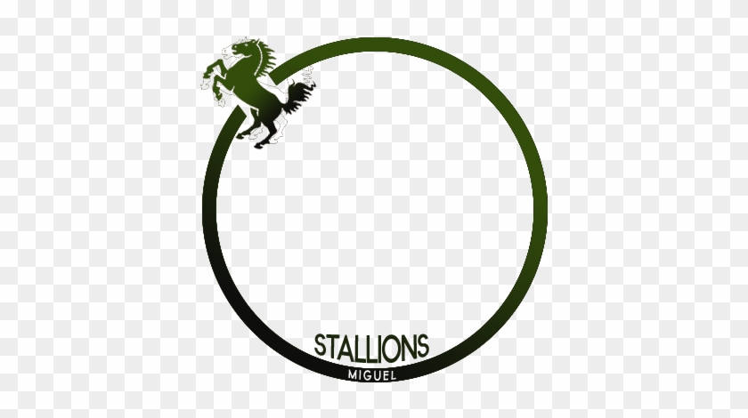 Miguel Stallions - Cartoon Black Horse #1639171