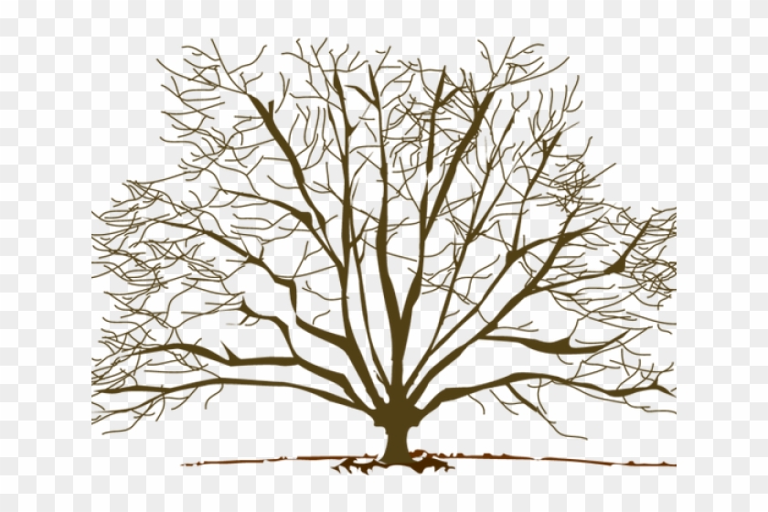 Transparent Winter Tree Clipart #1639238