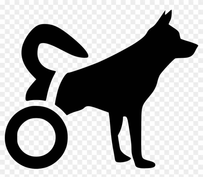 980 X 807 5 - Disabled Dog Logo #1639310