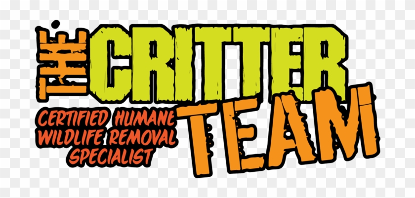 The Critter Team, Humble, Tx, Usa - The Critter Team, Humble, Tx, Usa #1639467