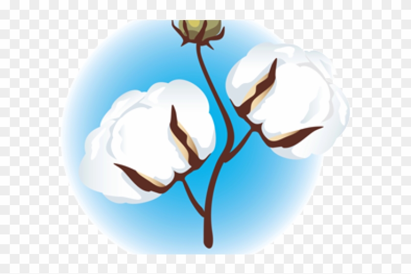 Cotton Plant Clip Art #1639738