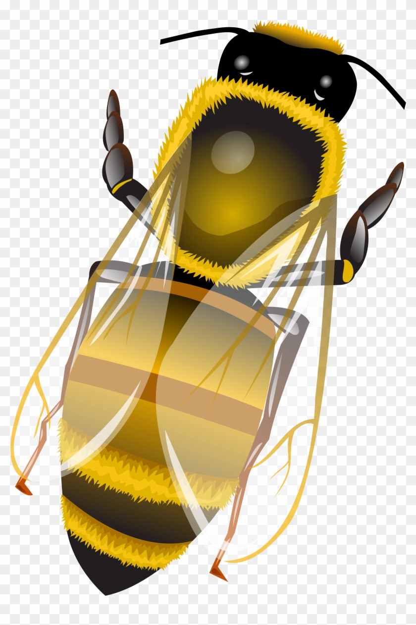 Bee Png Clip Art - Illustration #1639991