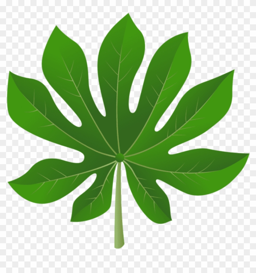 Download Exotic Leaf Clipart Png Photo - Exotic Leaves Png #1640102
