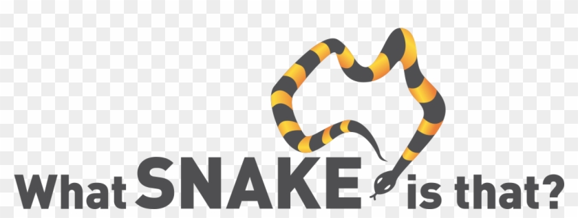 Python Logo Clipart Sea Snake - Orchards Academy #1640336