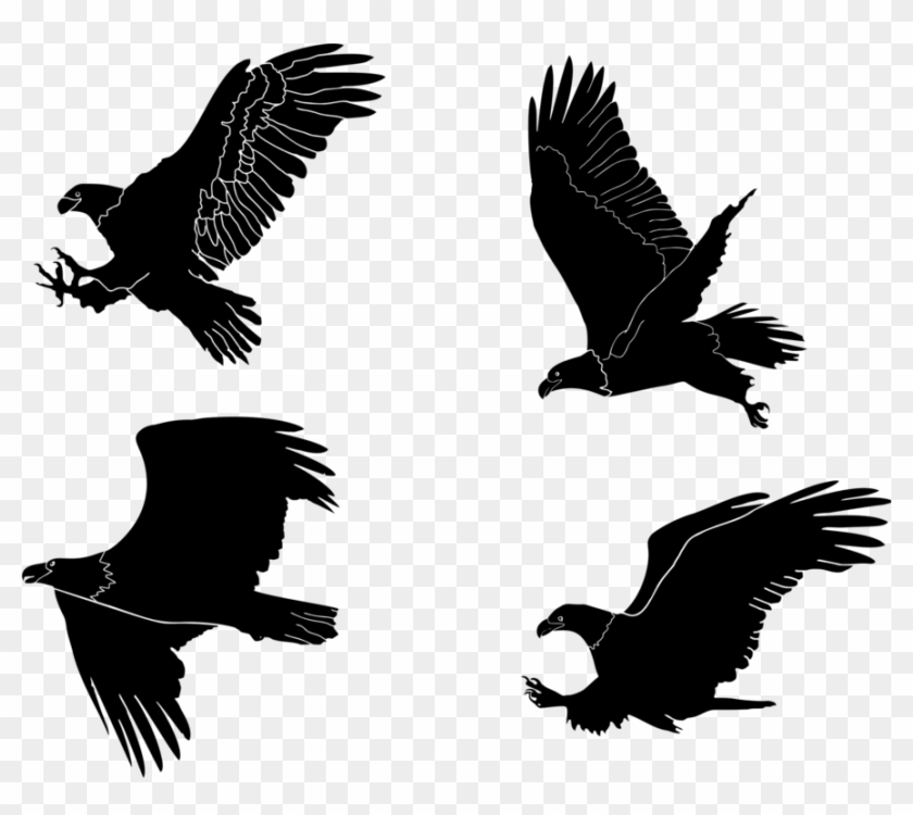 All Photo Png Clipart - Eagle Shadow #1640629
