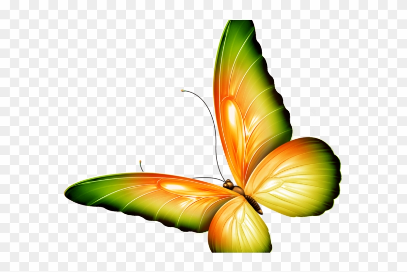 Photoshop Cliparts - Png Images Of Butterfly #1640632