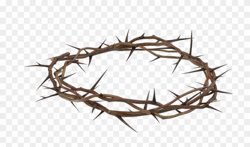 Crown Of Thorns #1640850