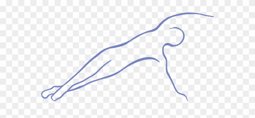 New Tenant Coming To Vermont Sport & Fitness Club - New Tenant Coming To Vermont Sport & Fitness Club #1640968