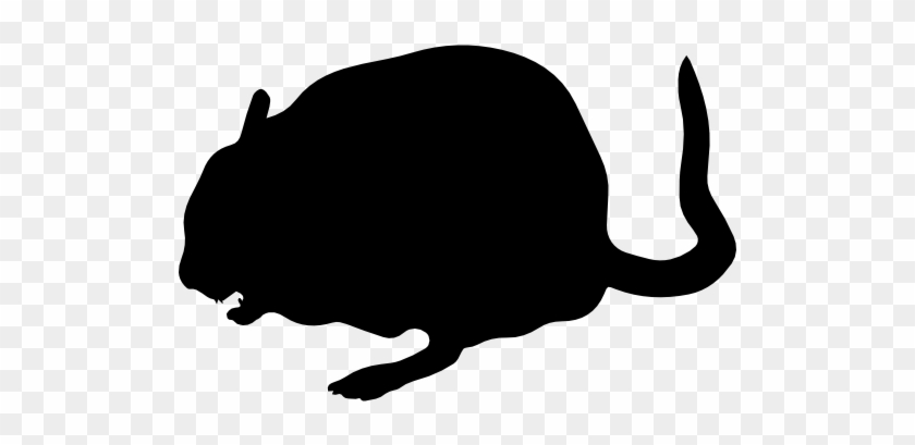 Animal Kingdom Mammal Shape - Chinchilla Silhouette Transparent #1641172