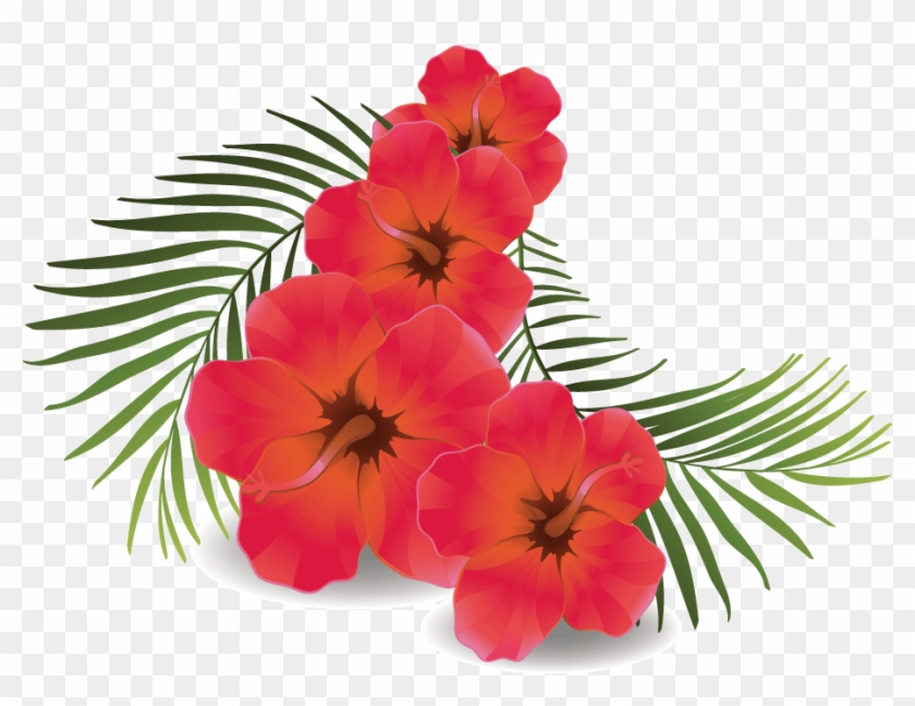 Download Hd Rose Flower Transparent Background - Hibiscus Clip Flower Transparent #1641240