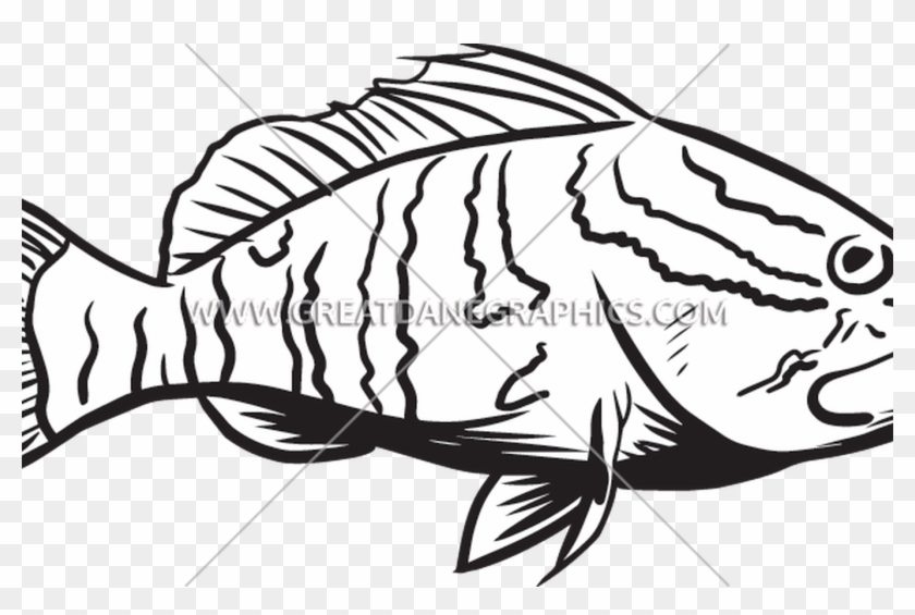 Bass Fishing Clip Art Library Huge Freebie Download - Grouper Line Art #1641830