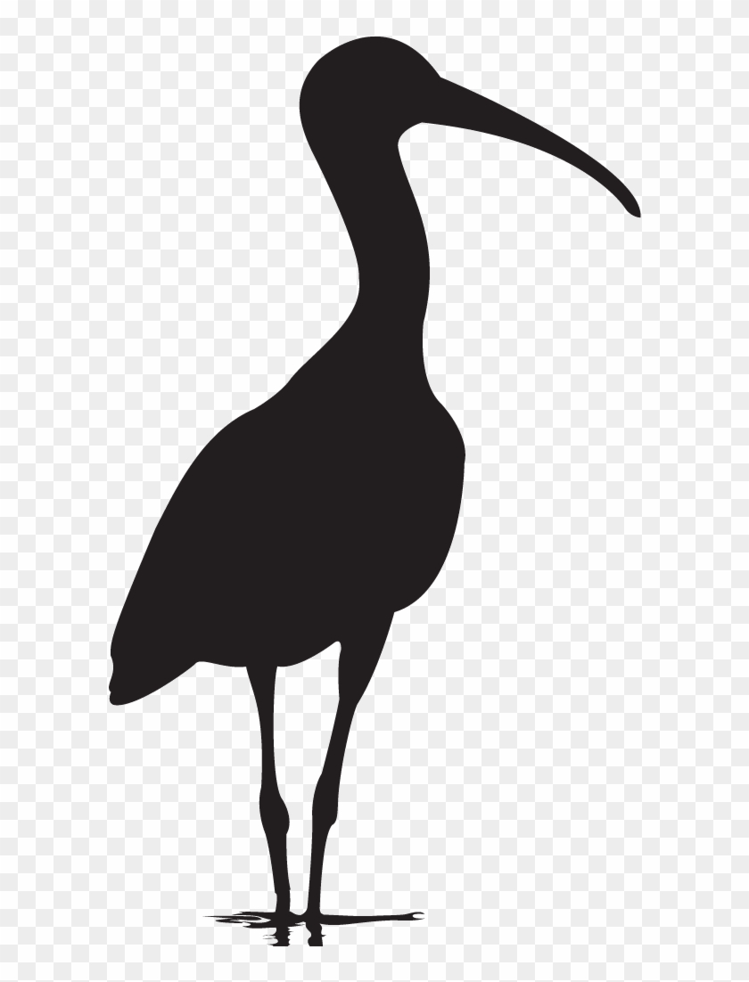 Silhouette Clip Art Dart Frog - Seabird #1641833