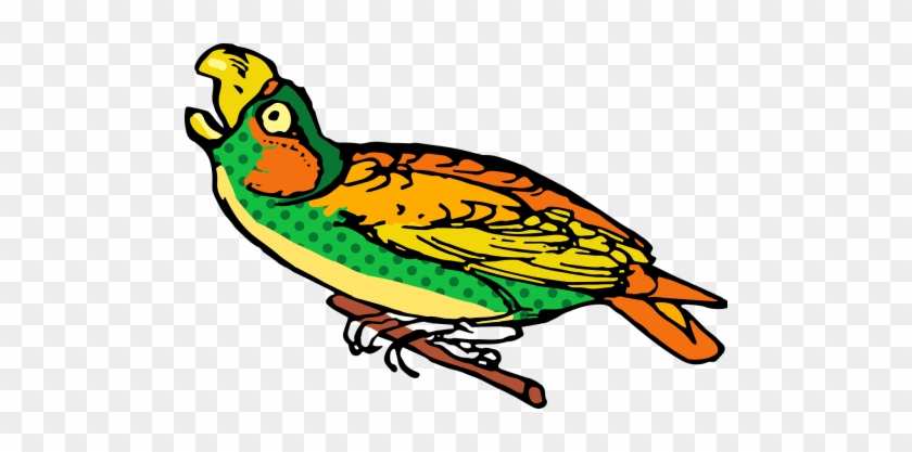 Dots,spots,spotty - Parrot #1642608