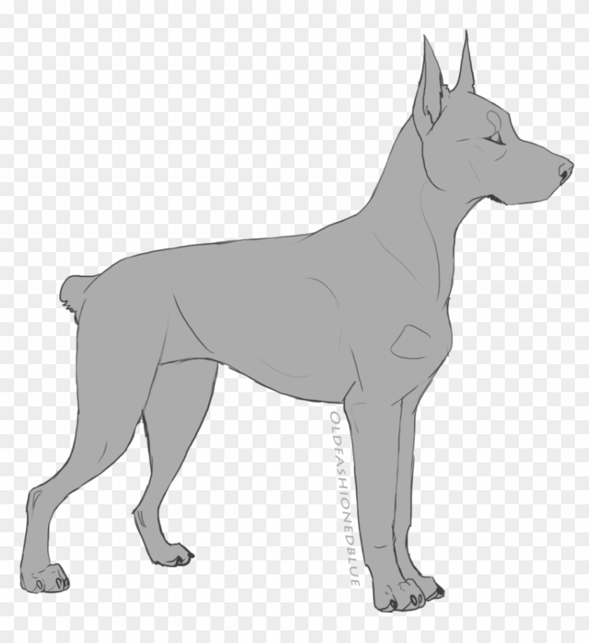 Dog Lineart Favourites By - Deviantart Doberman Adopts #1643014