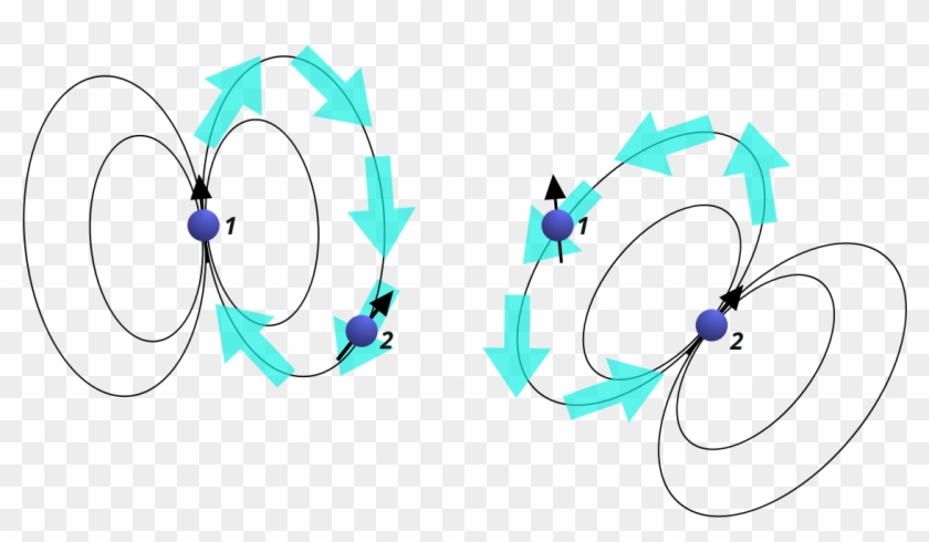 Nuclear Spin 1 Produces The Magnetic Field That Is - Circle #1643329