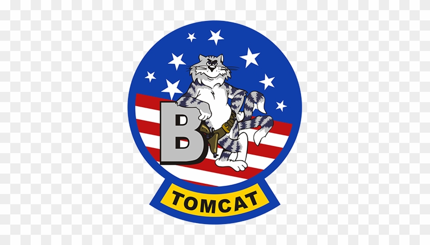 Tomcat F-14b Navy Day, Us Navy, Fixed Wing Aircraft, - F 14 Tomcat Patch #1643497