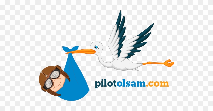 Nasıl Pilot Olurum Pilot Olmak İçin Gerekli Şartlar - Stork Med Bebis #1643513