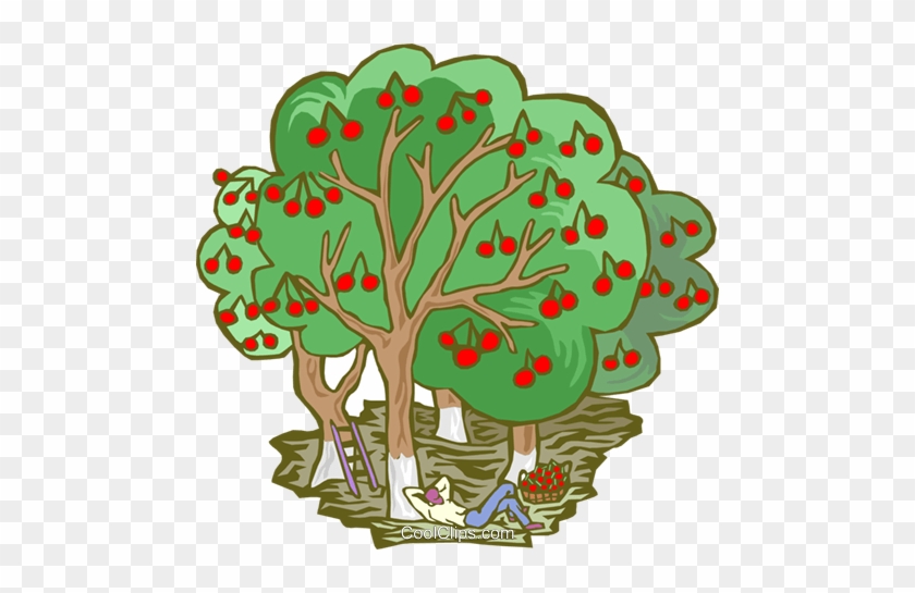 Apple Harvest Royalty Free Vector Clip Art Illustration - Energy And Its Types #1643539