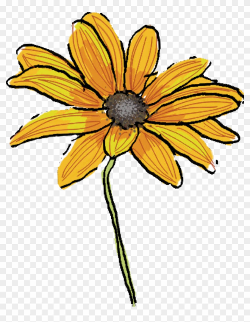 Daisey Sticker - Black-eyed Susan #1643684