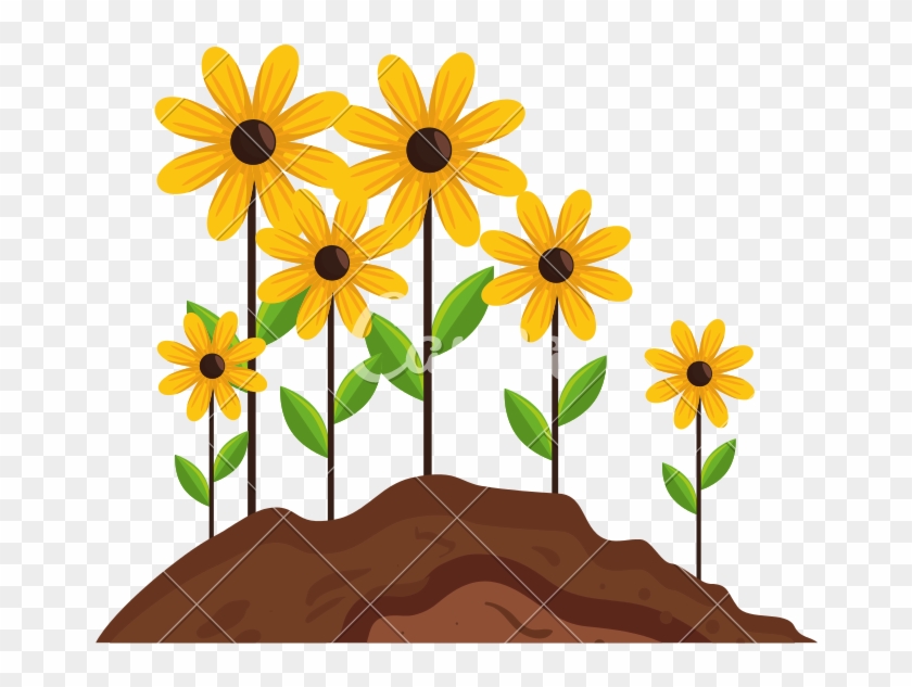 Flowers Icon Vector Illustration - Black-eyed Susan #1643696