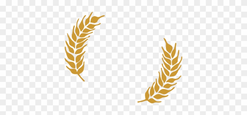 Wheat Border Clipart - Vector Wheat Logo Png #1643917