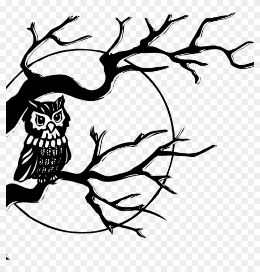 Owl Clipart Black And White Winter Clipart Hatenylo - Owl On A Branch Drawing #1644872