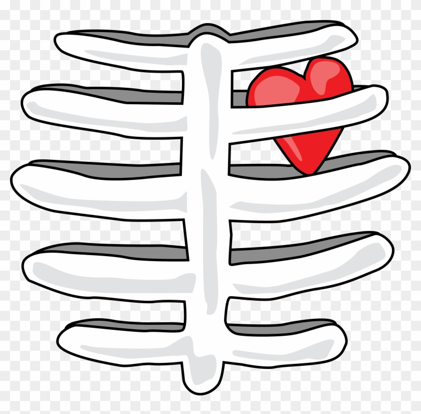 Rib Cage With Heart T Shirt Find This At Digitaltshirtshop Illustration Free Transparent Png Clipart Images Download - white autism shirt roblox